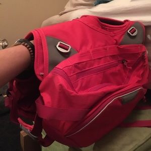Ruffwear Palisades Pack